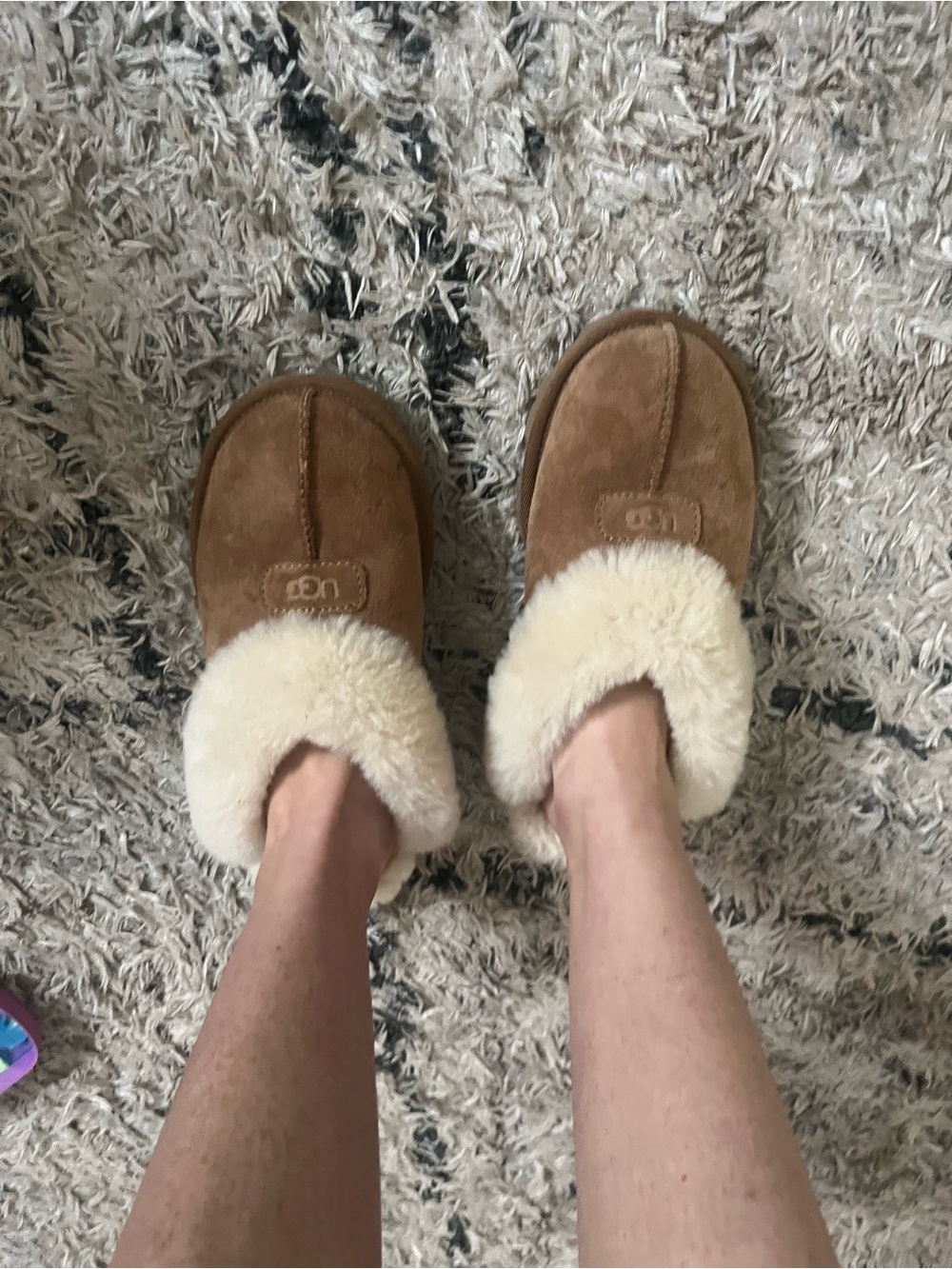 UGG Chestnut Suede Shearling Clog Slippers with Cream Collar
